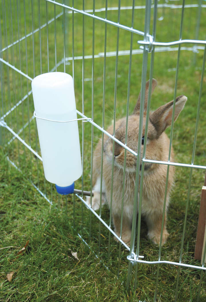 dobar Freilaufgehege